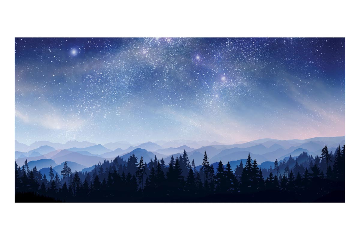 Winter Night Sky Frameless Backdrop