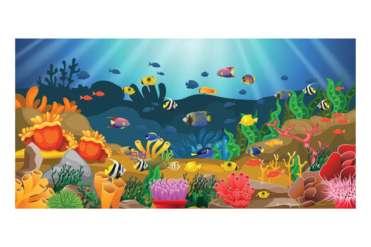 Vibrant Ocean Frameless Backdrop