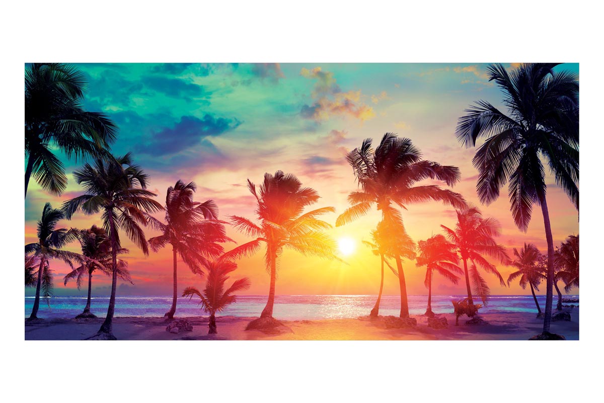 Tropical Sunset Paradise Frameless Backdrop