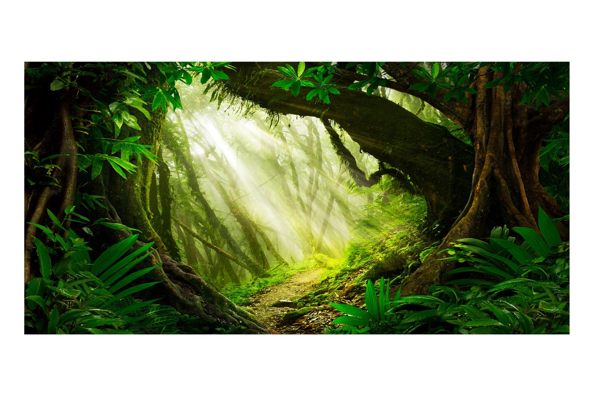 Deep Jungle Frameless Backdrop