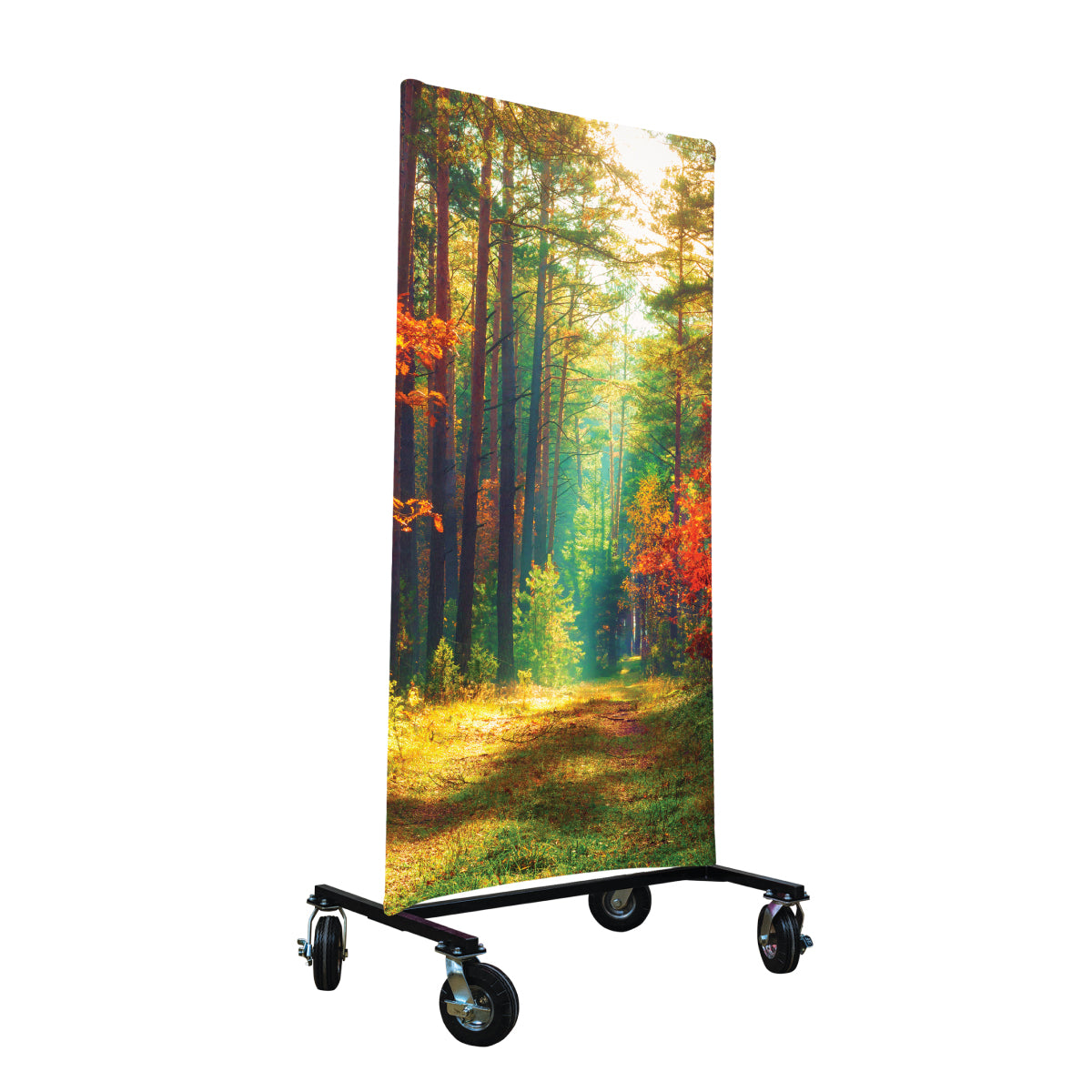 Autumn Forest I-Frame Backdrop