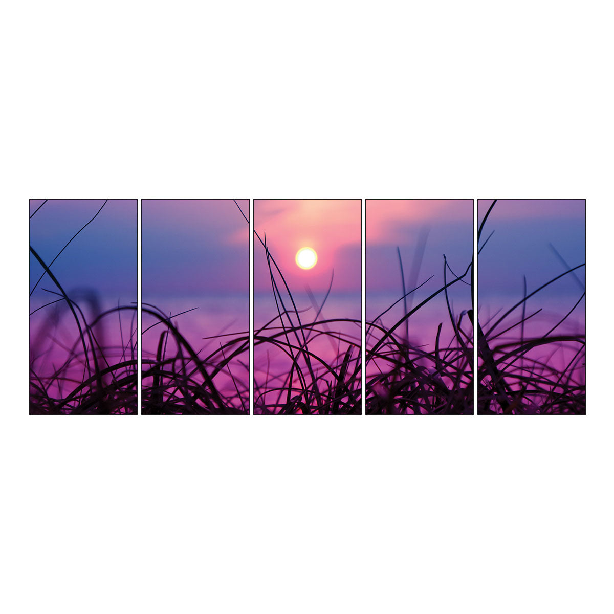 Coastal Sunset I-Frame Backdrop
