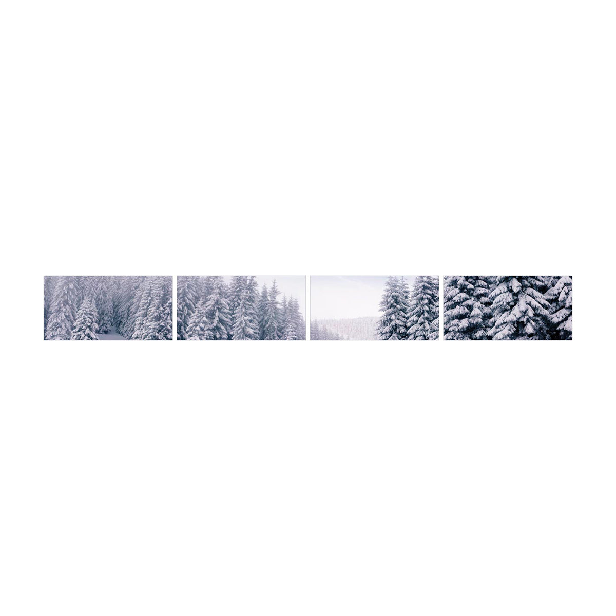 Winter Forest Front Screen