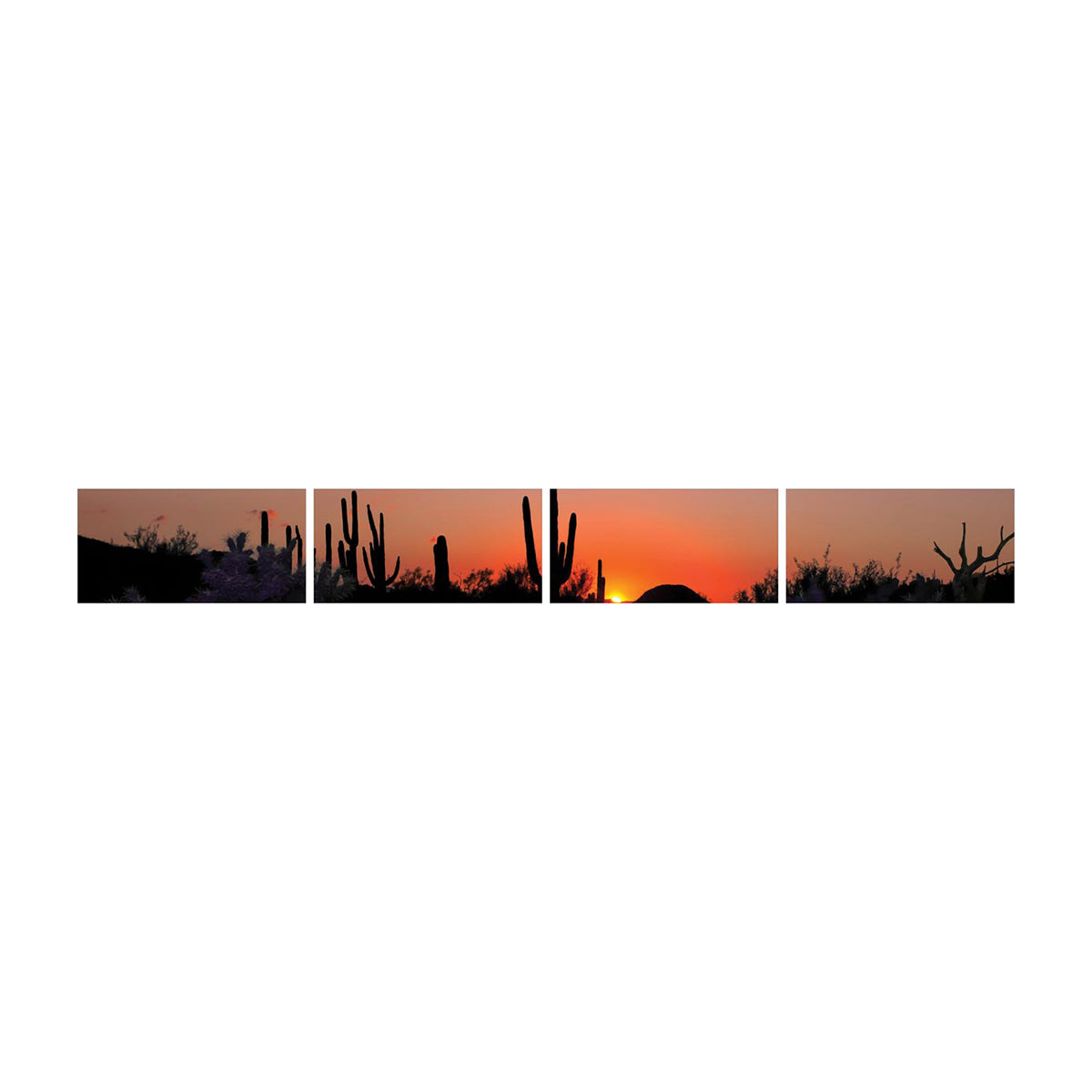 Desert Sunrise Front Screen
