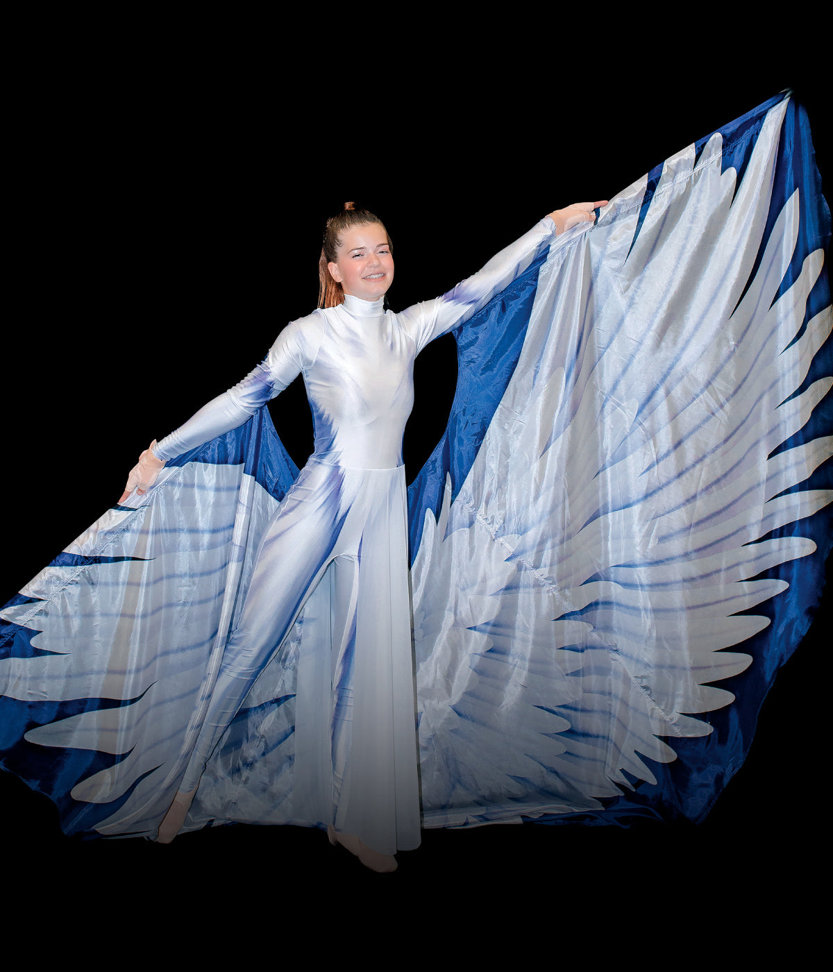 Printed color guard Mega flags