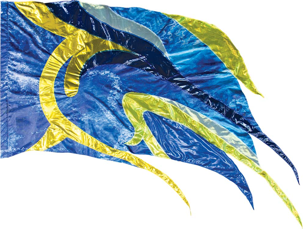 Color Guard Flag