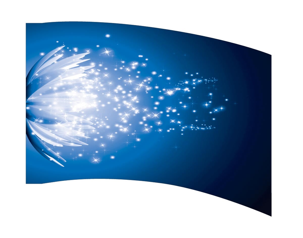 Printed Flag 3D00055