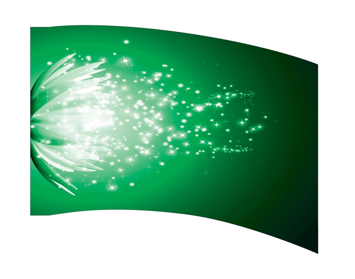 Printed Flag 3D00056