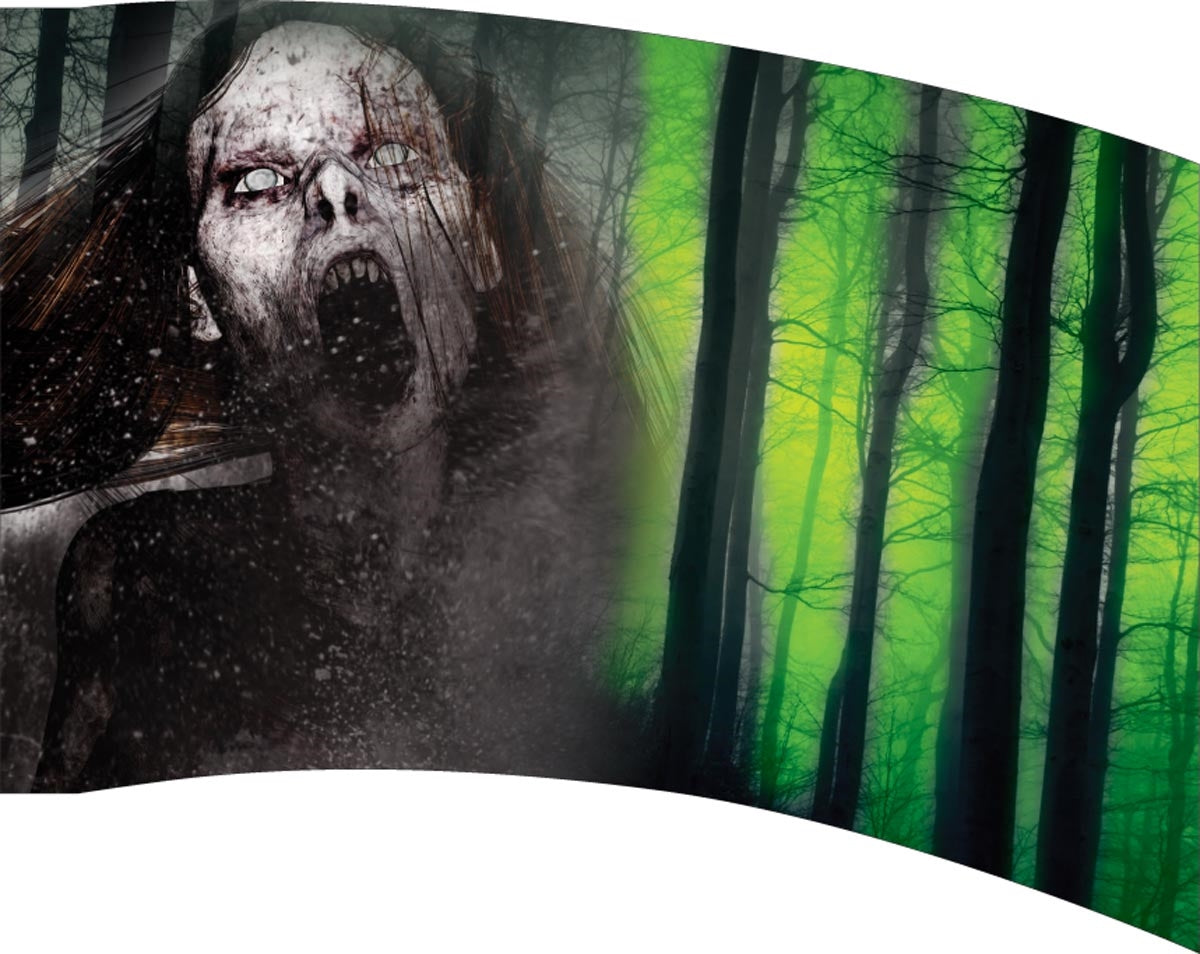 Printed Flag 3D00202