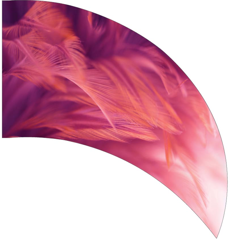 Printed Swing Flag 3D00602