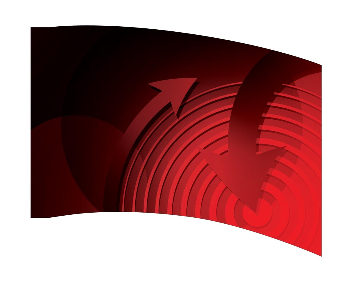 Printed Flag 3D01036