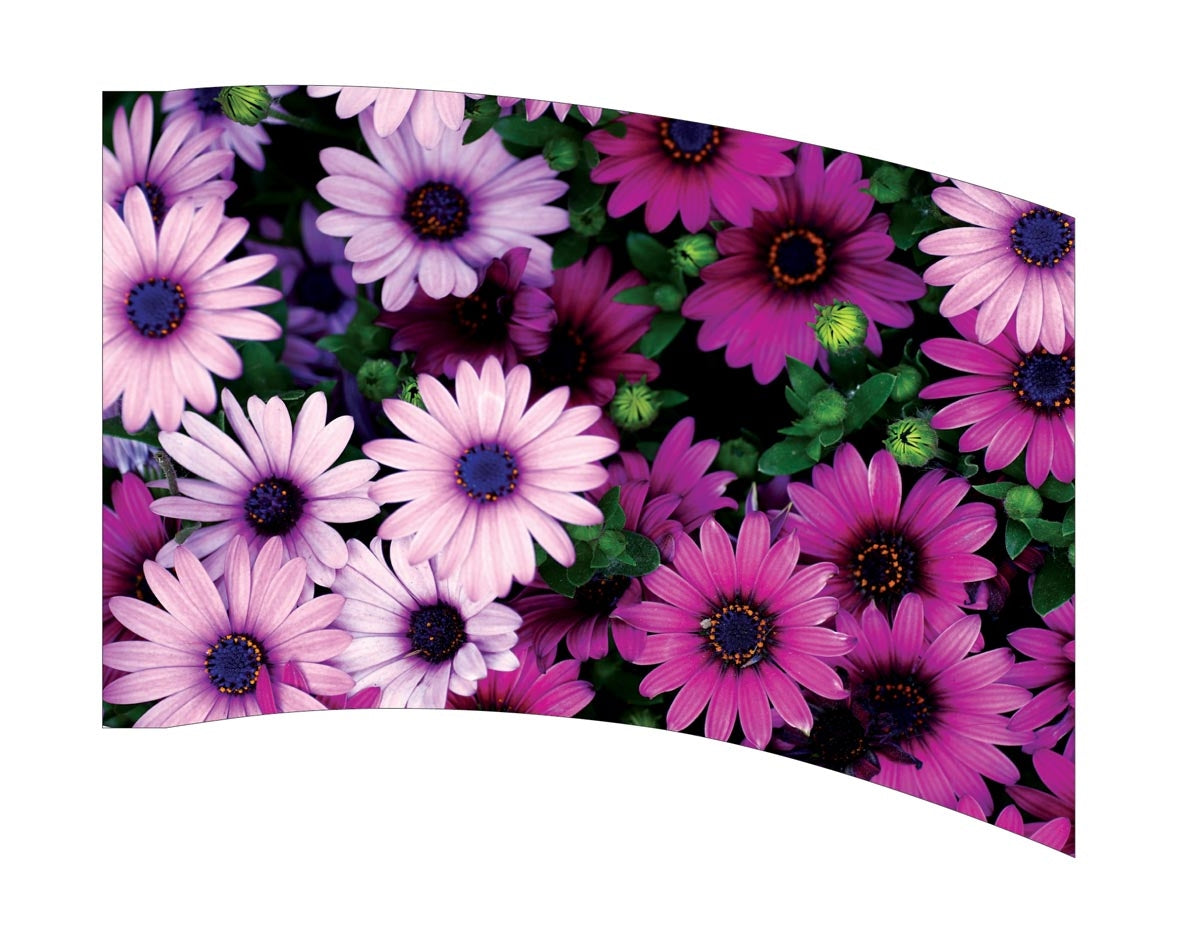 Printed Flag 3D01051