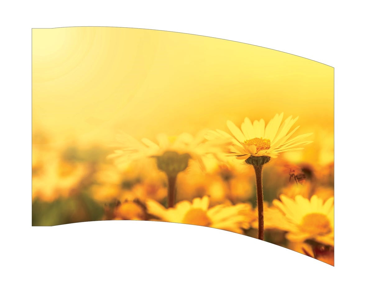 Printed Flag 3D01052