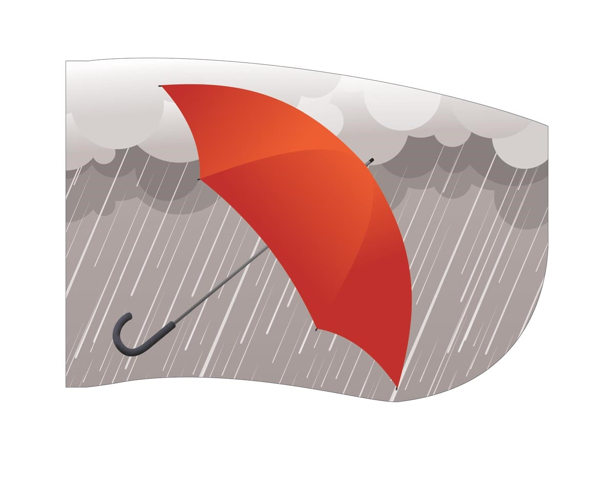 Printed Flag 3D01057