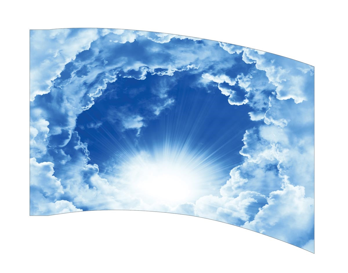 Printed Flag 3D01058