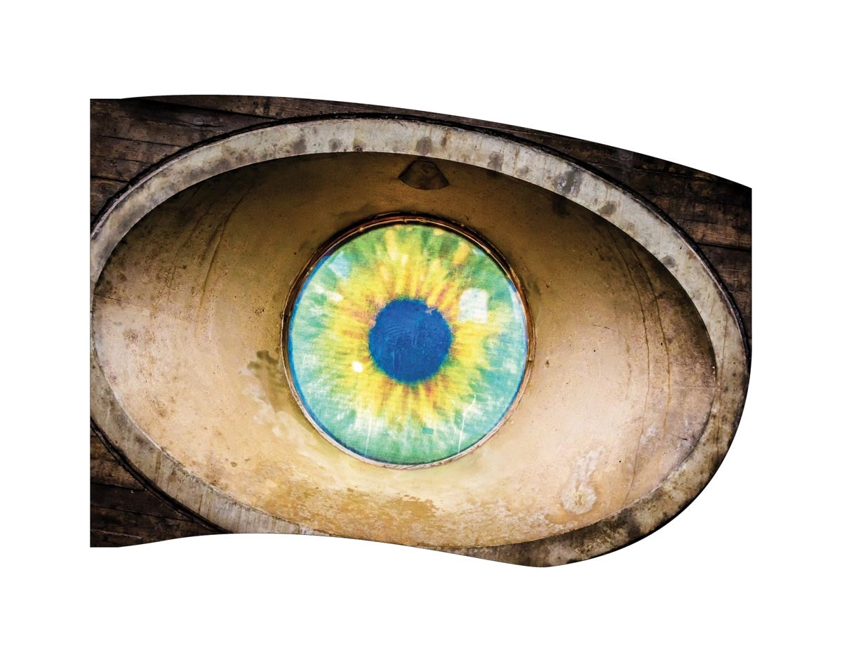 Printed Flag 3D01062