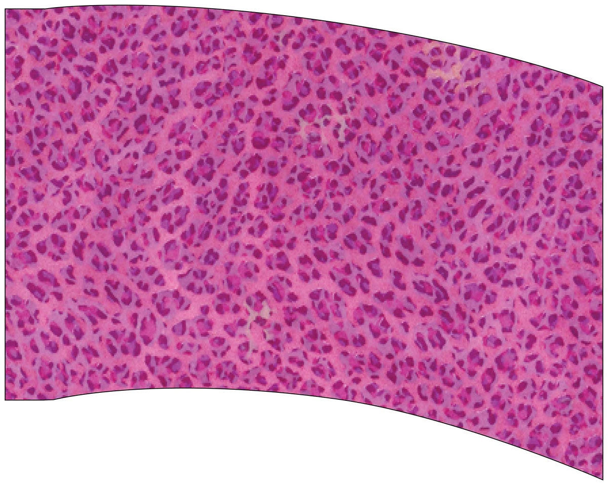 Printed Flag 3D17515