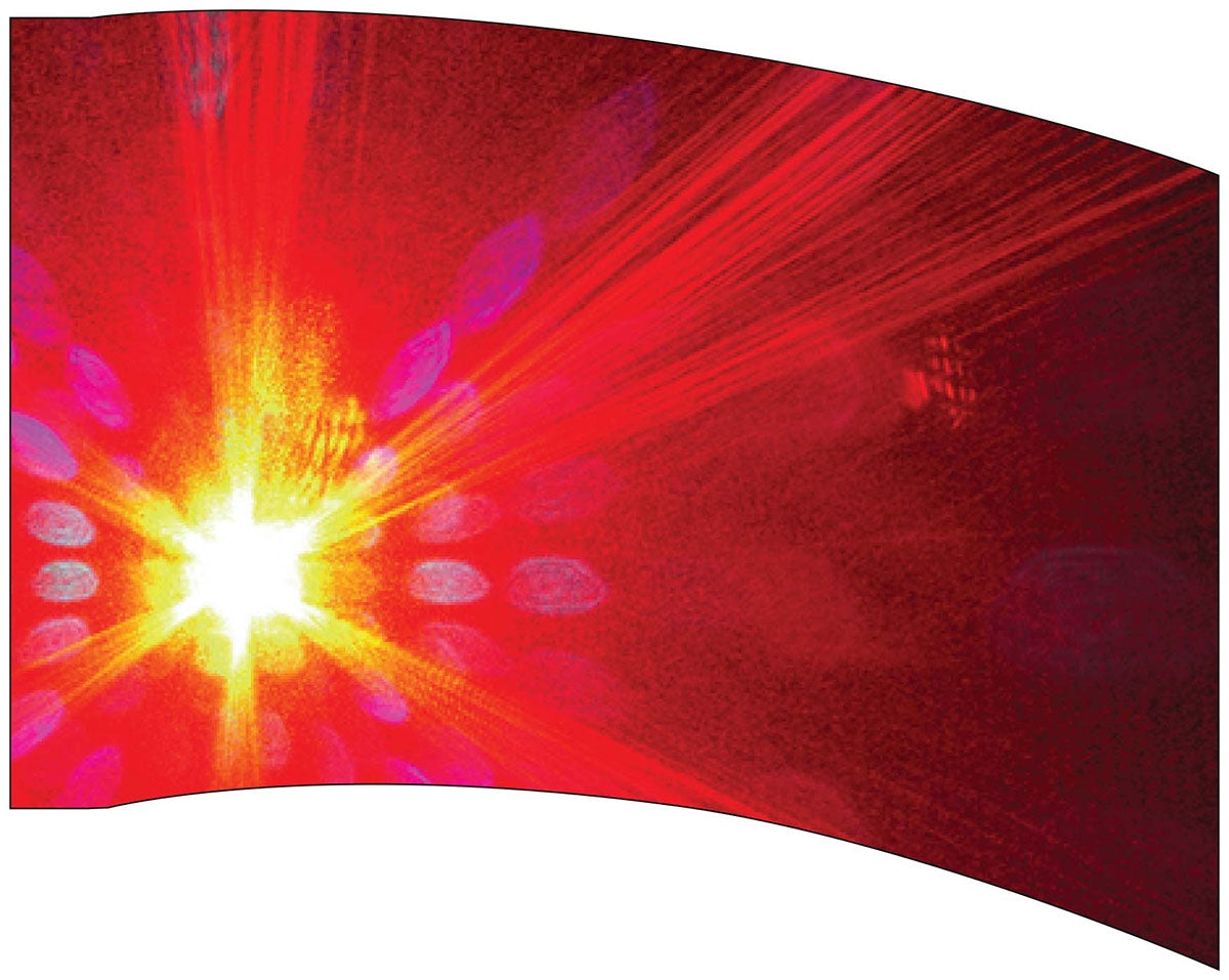 Printed Flag 3D17521