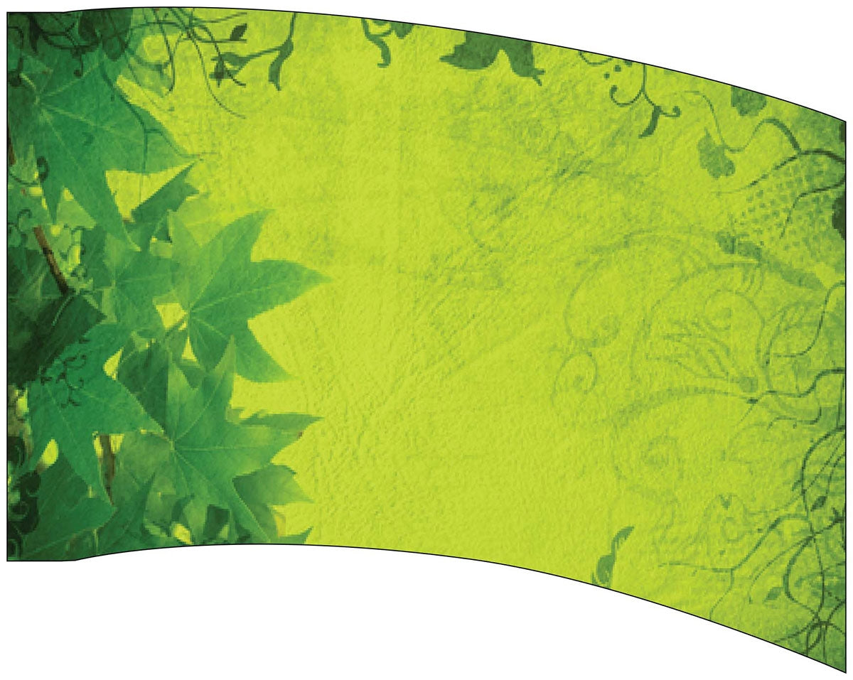 Printed Flag 3D17558