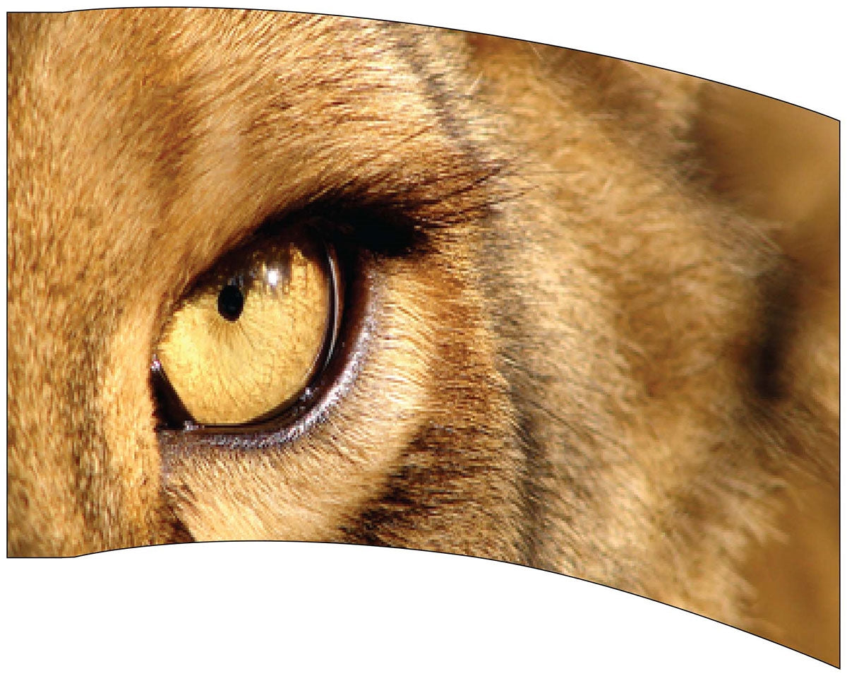 Printed Flag 3D17598