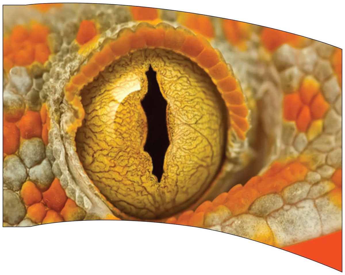 Printed Flag 3D17612