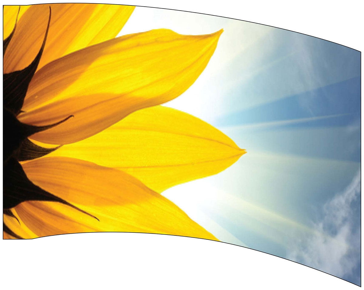 Printed Flag 3D17657