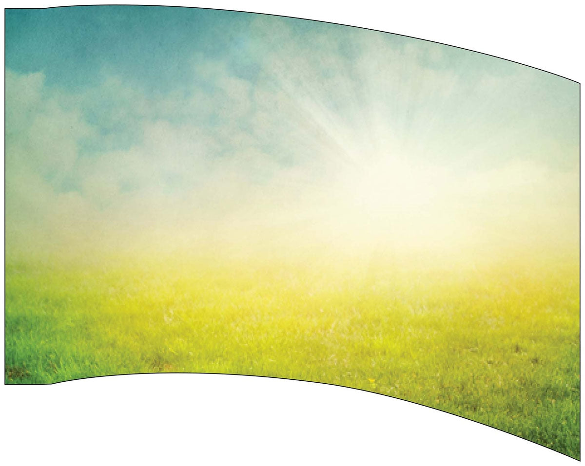 Printed Flag 3D17733