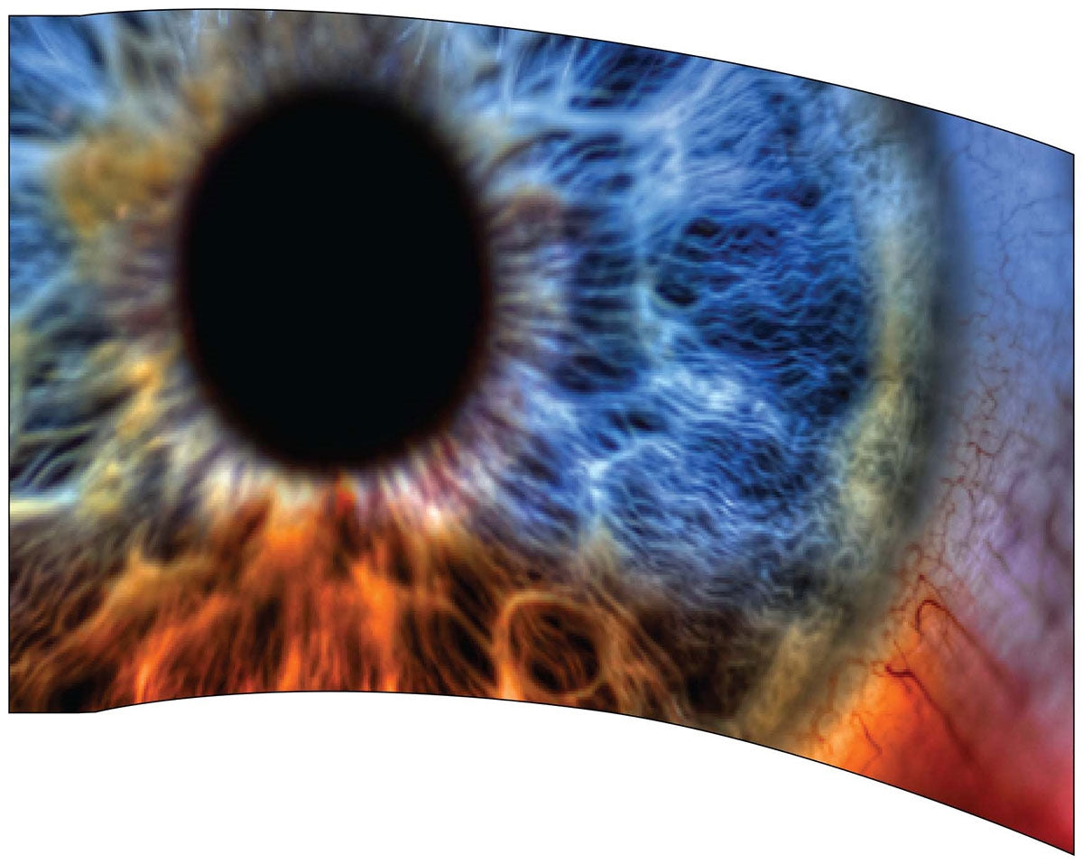 Printed Flag 3D17789