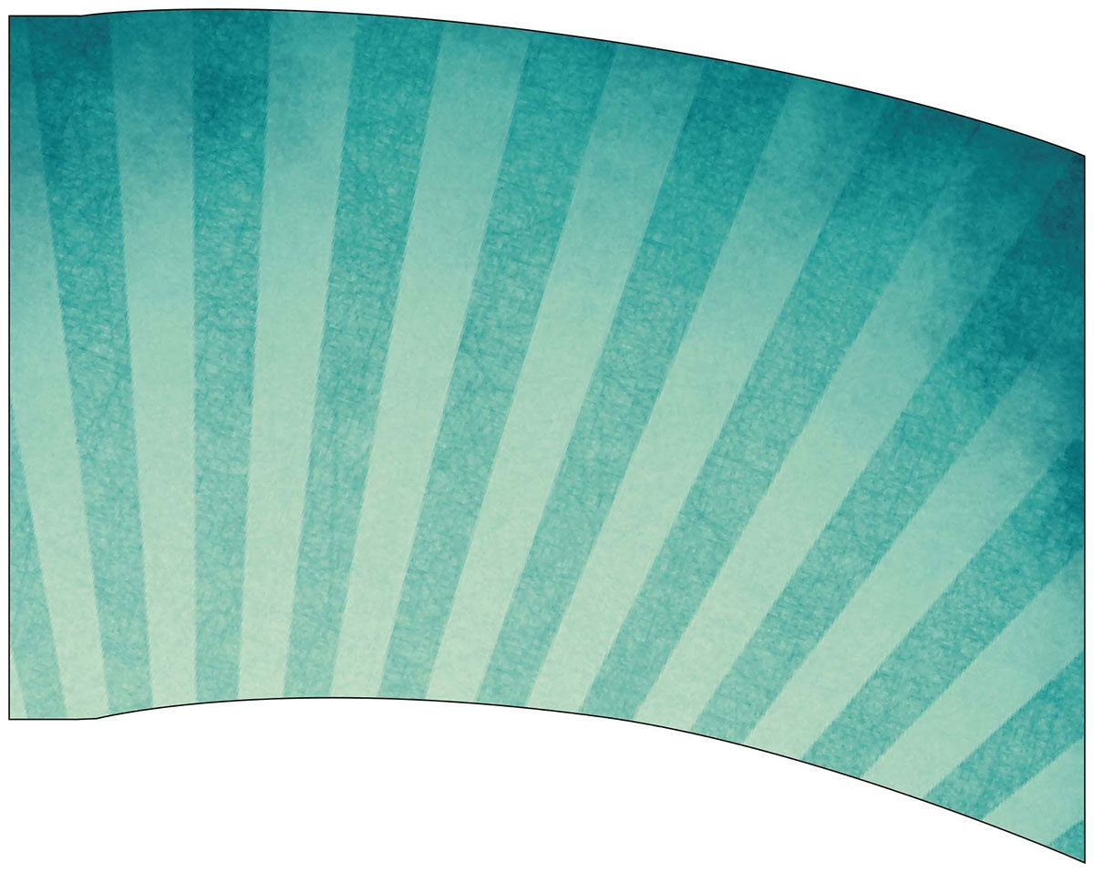 Printed Flag 3D17816