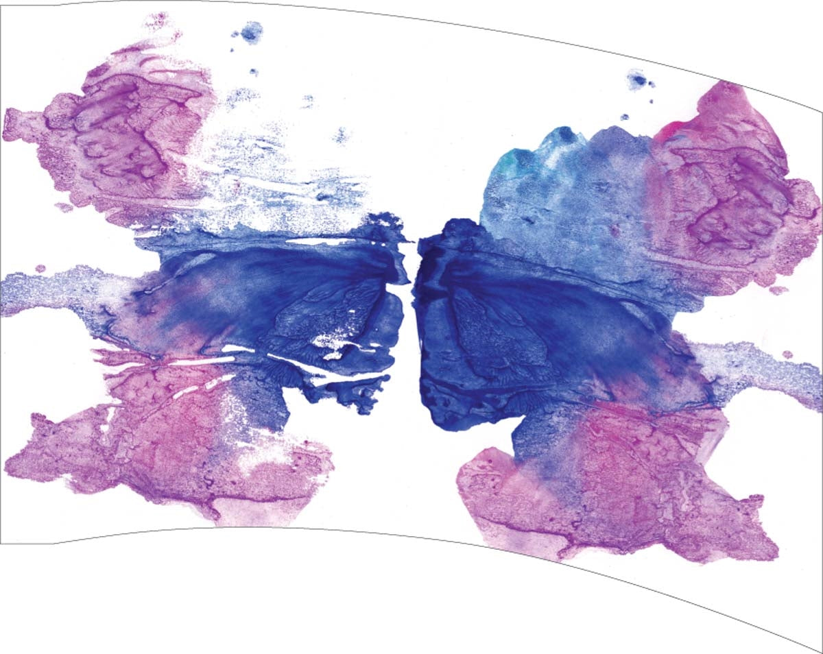 Printed Flag 3D18011