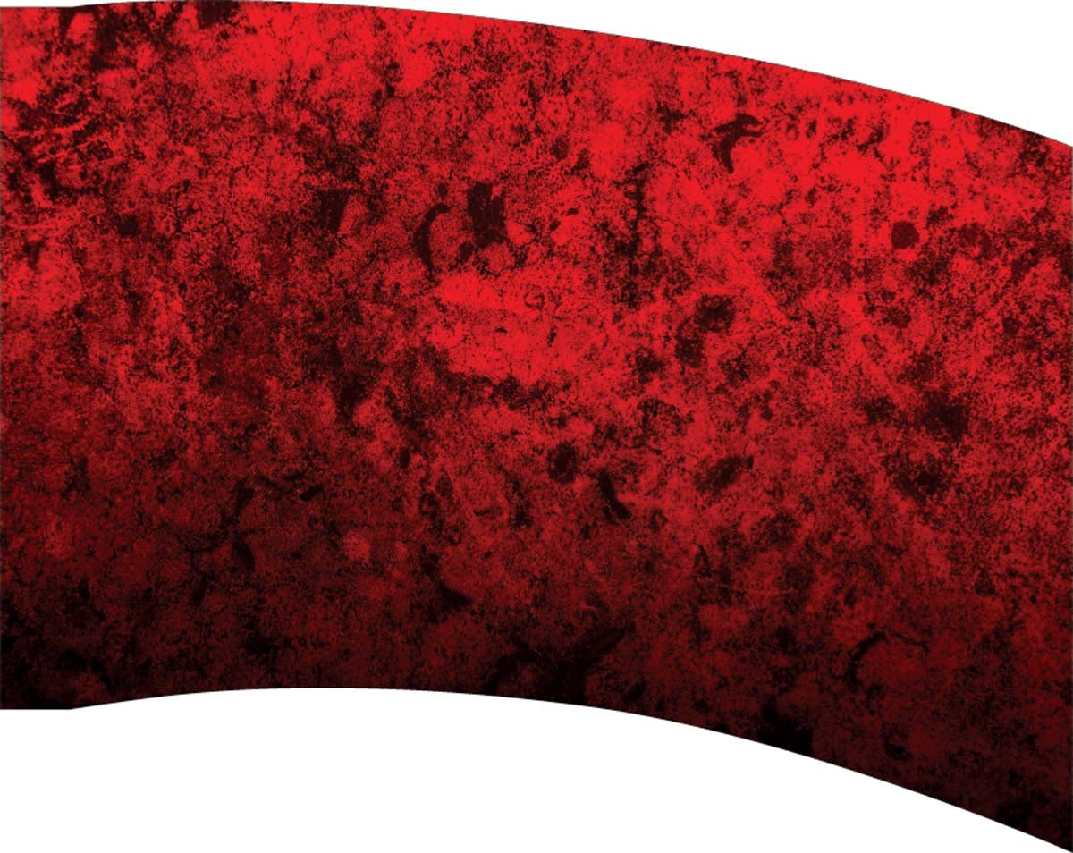 Printed Flag 3D18031