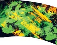 Printed Flag 3D18039