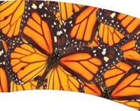 Printed Flag 3D18041