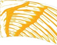 Printed Flag 3D18043