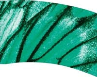 Printed Flag 3D18045