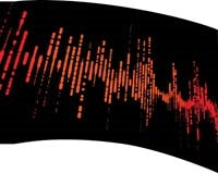 Printed Flag 3D18070