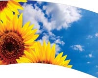 Printed Flag 3D18093