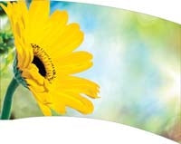 Printed Flag 3D18094