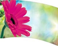 Printed Flag 3D18096