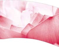 Printed Flag 3D18097