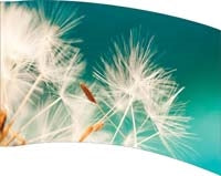 Printed Flag 3D18098