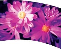 Printed Flag 3D18099
