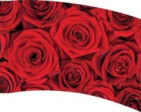 Printed Flag 3D18100