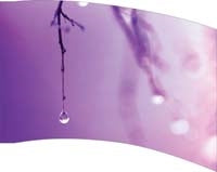 Printed Flag 3D18102