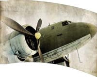 Printed Flag 3D18133