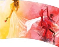 Printed Flag 3D18203