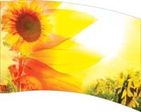 Printed Flag 3D18206