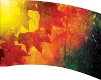 Printed Flag 3D18207