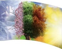 Printed Flag 3D18208