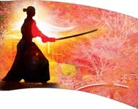 Printed Flag 3D18211